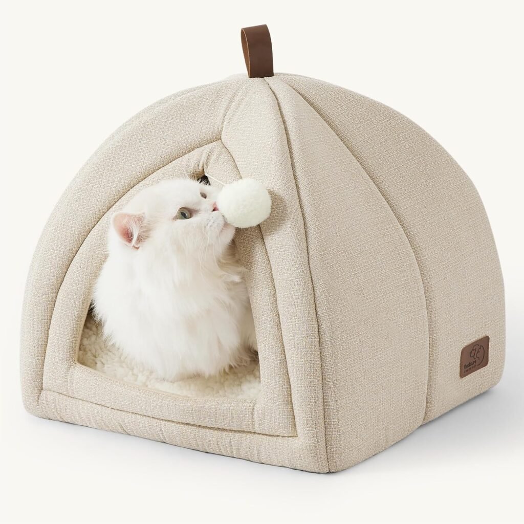 CW074 2 In 1 Dog House Cat House | OEM Pet Product Manufacturer