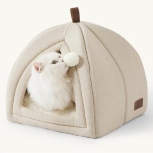 CW074 2 In 1 Dog House Cat House | OEM Pet Product Manufacturer