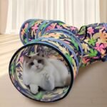 CW036 three-way pet play tunnel