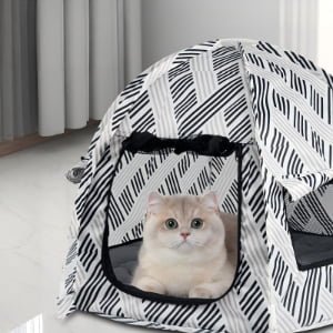 CW021 Portable Mesh Pet Tent | OEM Pet Product Manufacturer