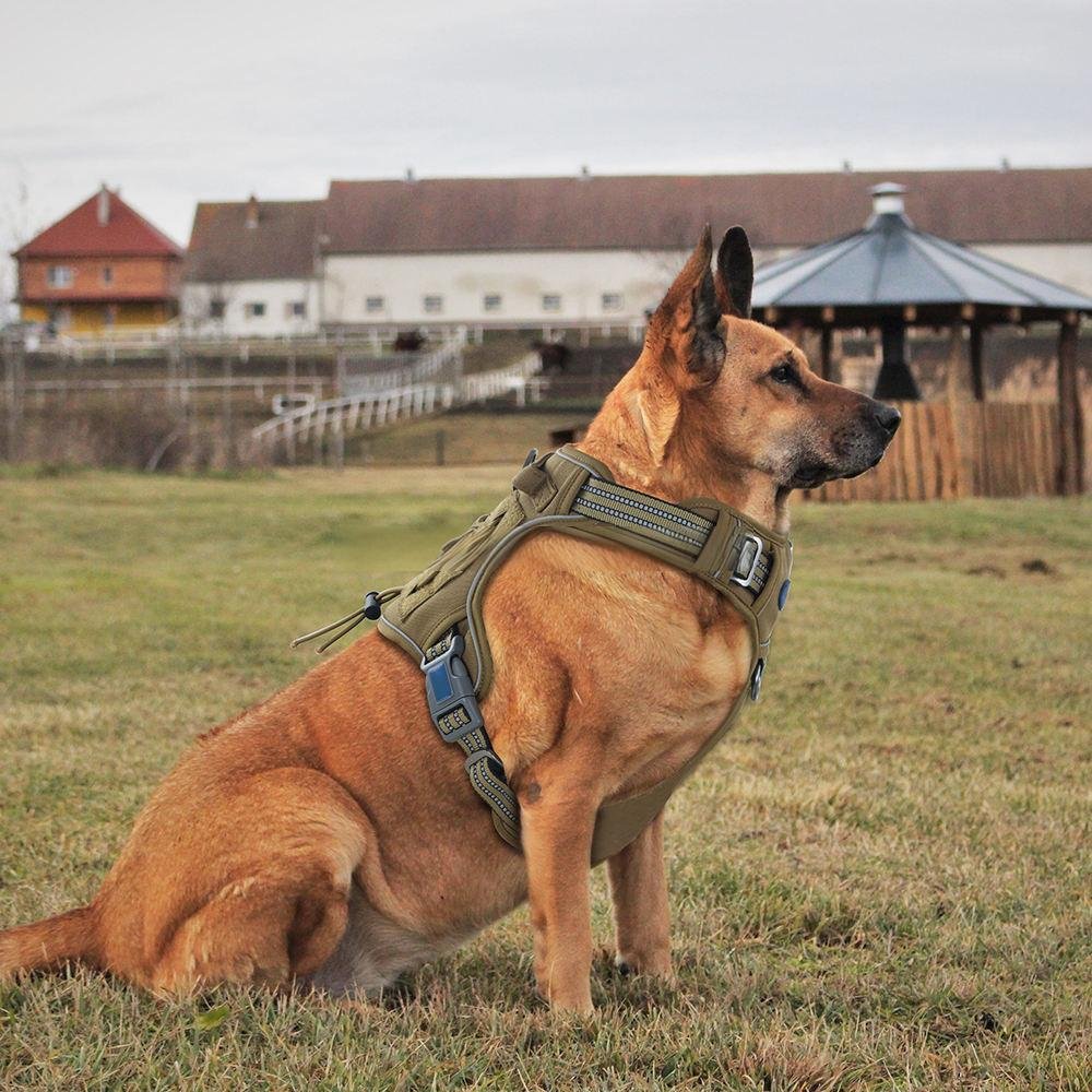 P022 adjustable tactical dog harness with control handle, leash rings and MOLLE-style panels